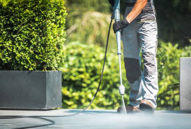 Best Animal Enclosure Cleaning  in Warren, OH