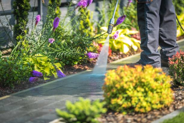 Best House Exterior Washing  in Warren, OH
