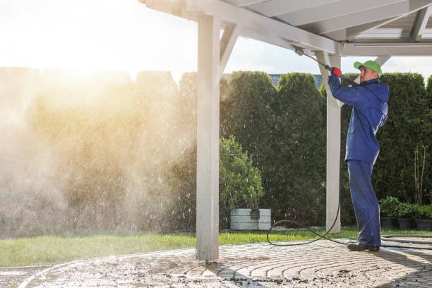 Best Spring Cleaning  in Warren, OH